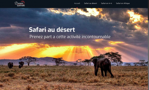 https://www.desert-safari.org