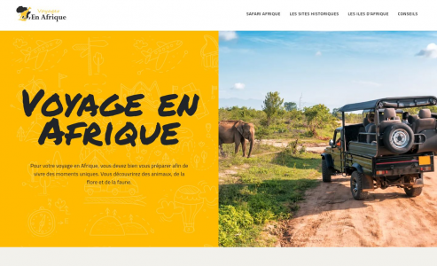 https://www.voyager-en-afrique.com